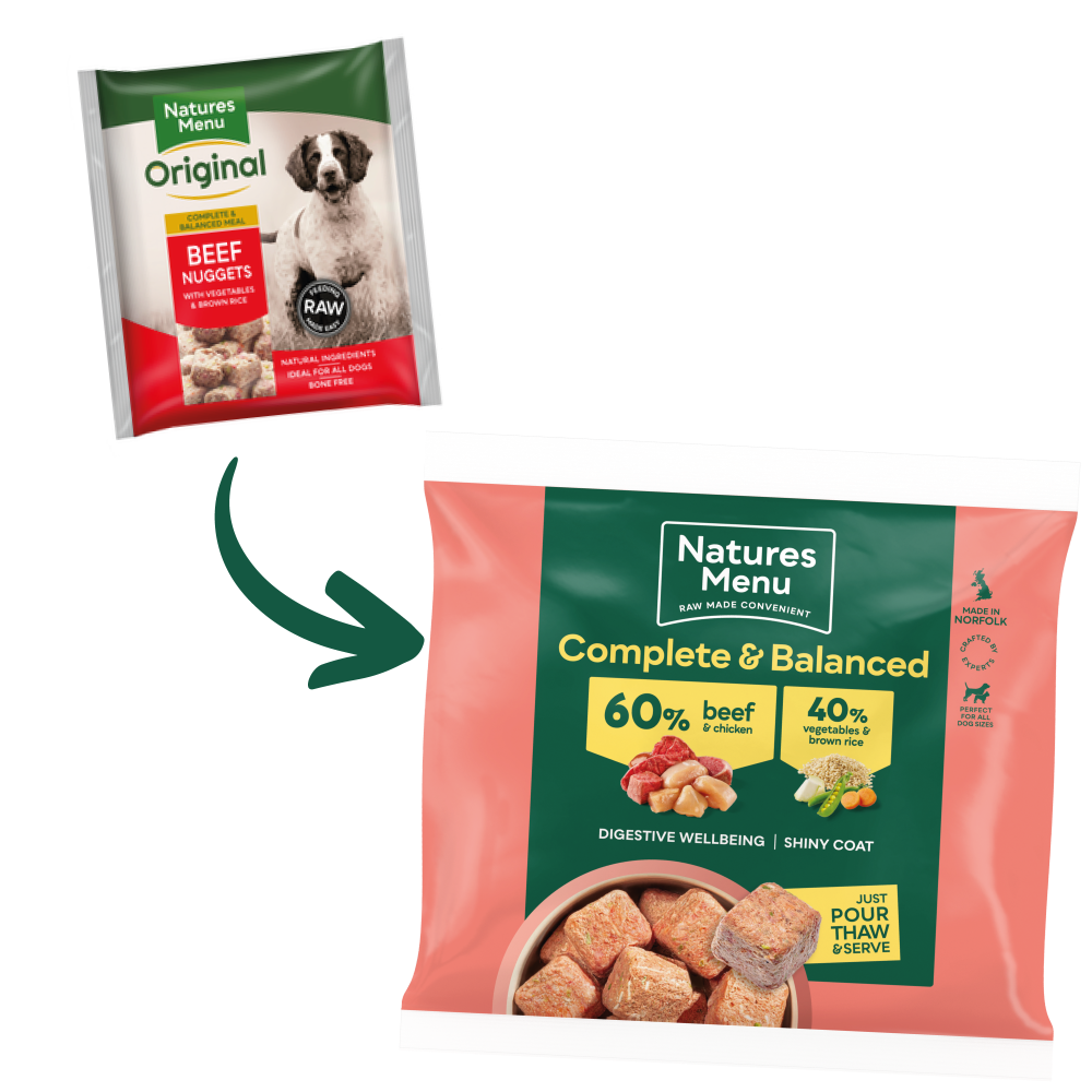 Raw dog clearance food nuggets