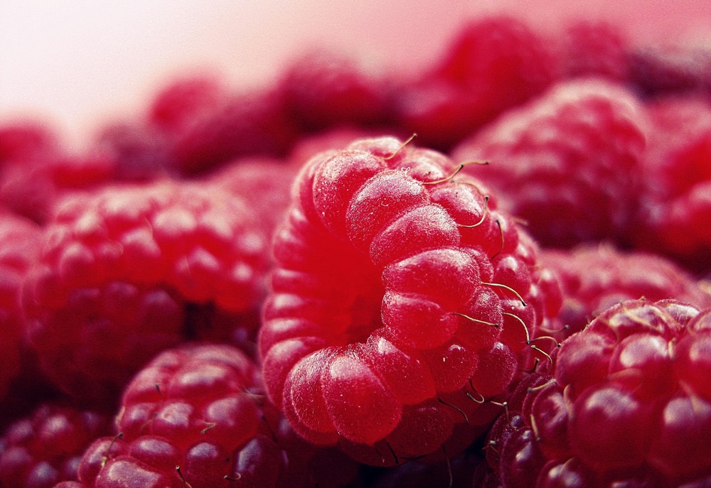 Can dogs eat raspberries Natures Menu