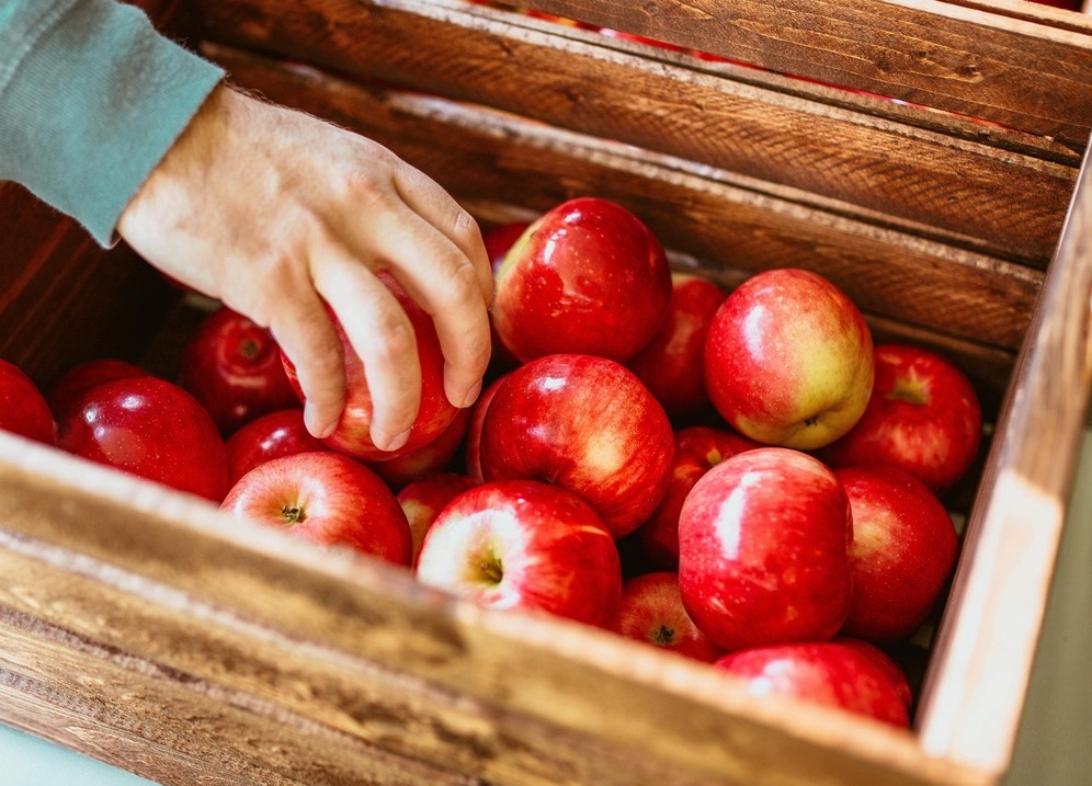 Can dogs eat apples?