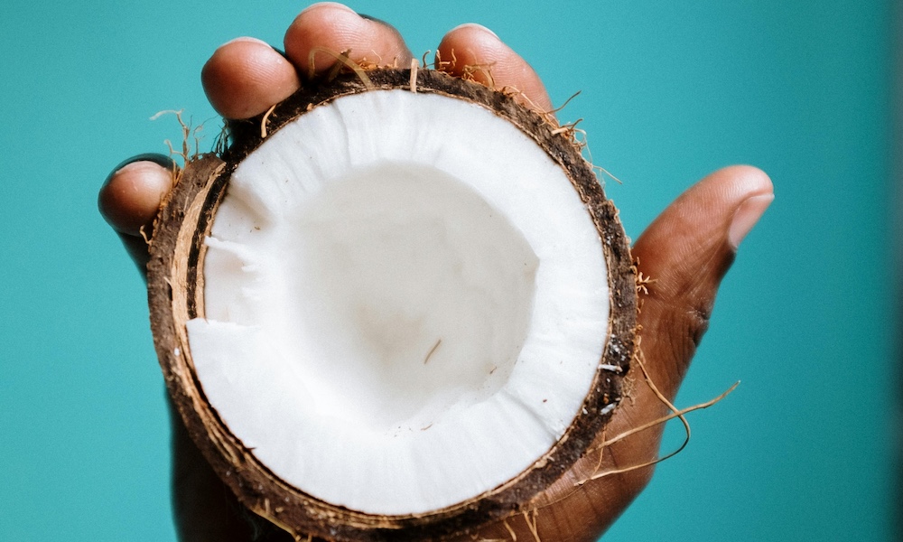 Can dogs eat coconut?