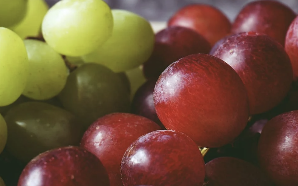 are grapes toxic to cats and dogs