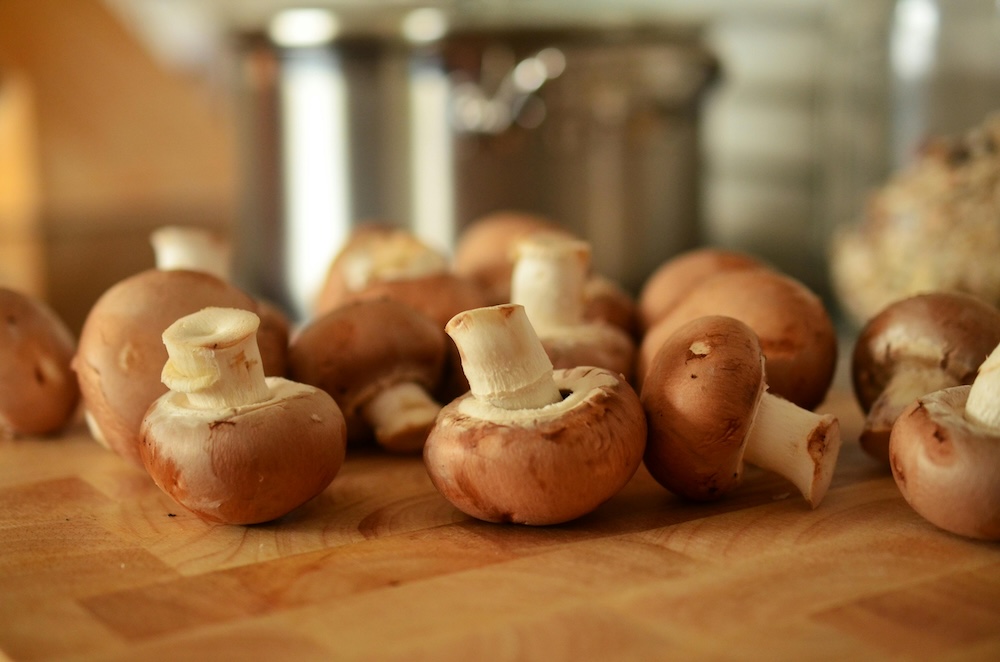 Can dogs have cooked mushrooms hotsell